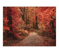 500 Piece Jigsaw Puzzles for Adults Gifts-Autumn,forests,path 52x38cm