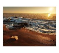 500 Piece Jigsaw Puzzles for Adults Gifts-Beach,sea,ice,floe 52x38cm
