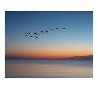 500 Piece Jigsaw Puzzles for Adults Gifts-Birds,flock,sunset 52x38cm
