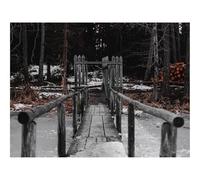 500 Piece Jigsaw Puzzles for Adults Gifts-Bridge,river,ice 52x38cm