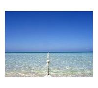 500 Piece Jigsaw Puzzles for Adults Gifts-Buoy,gulf,border 52x38cm