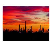 500 Piece Jigsaw Puzzles for Adults Gifts-Cacti,sunset,silhouettes 52x38cm