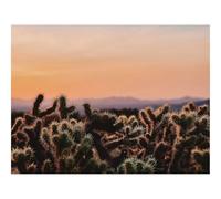 500 Piece Jigsaw Puzzles for Adults Gifts-Cactus,desert,wilderness 52x38cm