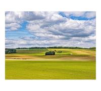 500 Piece Jigsaw Puzzles for Adults Gifts-Fields,trees,landscape 52x38cm