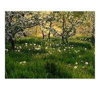 500 Piece Jigsaw Puzzles for Adults Gifts-Flowering,spring,dandelions 52x38cm