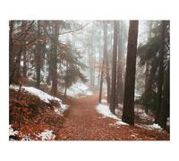 500 Piece Jigsaw Puzzles for Adults Gifts-forests,fog,path 52x38cm
