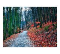 500 Piece Jigsaw Puzzles for Adults Gifts-forests,path,autumn 52x38cm