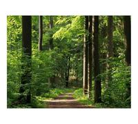 500 Piece Jigsaw Puzzles for Adults Gifts-forests,path,trees 52x38cm
