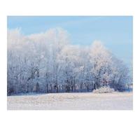 500 Piece Jigsaw Puzzles for Adults Gifts-forests,snow 52x38cm