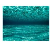 500 Piece Jigsaw Puzzles for Adults Gifts-Ocean,Water,Underwater,Maldives 52x38cm