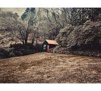 500 Piece Jigsaw Puzzles for Adults - Home nature alone 52x38cm