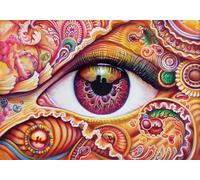 500 Piece Jigsaw Puzzles for Adults, Impossible Hard Difficult Challenging jigsaw puzzle 500 pieces adult Puzzles Classic Educational Games 52x38cm,Colorful Abstract Eyes