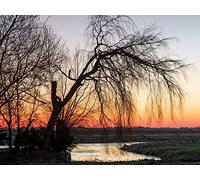 500 Piece Jigsaw Puzzles for Adults & Kids Age 14 Years Up - River trees grass 52x38cm