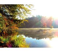 500 Piece Jigsaw Puzzles for Adults Kids - Light sun modulations 52x38cm