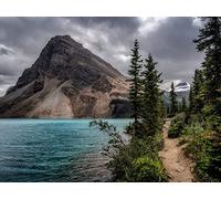 500 Piece Jigsaw Puzzles for Adults Kids - Mountain water trees 52x38cm