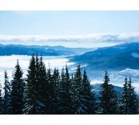 500 Piece Jigsaw Puzzles for Adults Kids - Mountains trees clouds 52x38cm