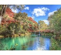 500 Piece Jigsaw Puzzles for Adults Kids - Parks united states rivers 52x38cm