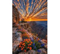 500 Piece Jigsaw Puzzles for Adults - Sunset Cliffs Flowers - Decorative Wall Art Gift for Adults & Families - 20.47x14.96 ich - with Poster & Letters on Back