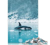 500 Piece Orca in Snowy Waters Creative Square Jigsaw Puzzles for Adults And Wooden Puzzles Toy Intellectual Game 500pcs (52x38cm)