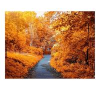 500 Piece Puzzle Classic Educational Games -Autumn,path,park 52x38cm