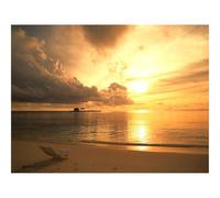 500 Piece Puzzle Classic Educational Games -Beach,coast,decline 52x38cm