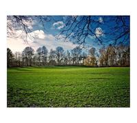 500 Piece Puzzle Classic Educational Games -Field,grass,summer 52x38cm