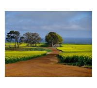 500 Piece Puzzle Classic Educational Games -Field,path,trees 52x38cm