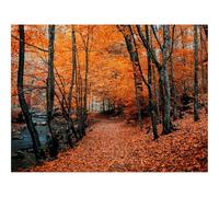 500 Piece Puzzle Classic Educational Games -Field,tree,alone 52x38cm