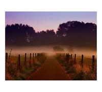 500 Piece Puzzle Classic Educational Games -Fog,trees,path 52x38cm