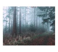 500 Piece Puzzle Classic Educational Games -forests,fog,path 52x38cm