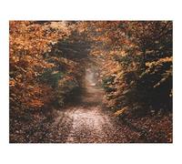 500 Piece Puzzle Classic Educational Games -forests,path,autumn 52x38cm