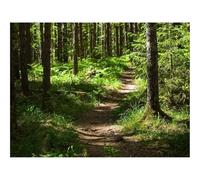 500 Piece Puzzle Classic Educational Games -forests,path,trees 52x38cm
