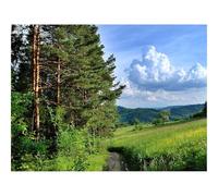 500 Piece Puzzle Classic Educational Games -forests,trees,path 52x38cm
