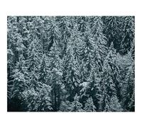 500 Piece Puzzle Classic Educational Games -forests,trees,snow 52x38cm