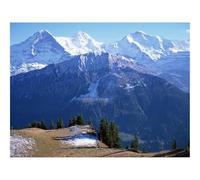 500 Piece Puzzle Classic Educational Games -Mountains,Greatness,Kingdom,Tops,Snow,Trees 52x38cm