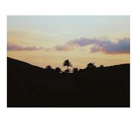 500 Piece Puzzle Classic Educational Games -Palms,Horizon,Sky,Clouds 52x38cm