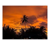 500 Piece Puzzle Classic Educational Games -Pond,Vegetation,Leaves,Juicy,Greens,Flora 52x38cm