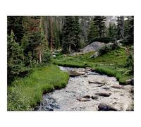 500 Piece Puzzle Classic Educational Games -River,Grass,Trees,forests,Rocks 52x38cm