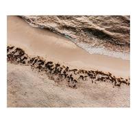 500 Piece Puzzle Classic Educational Games -Sea,Wave,Beach,Seaweed 52x38cm