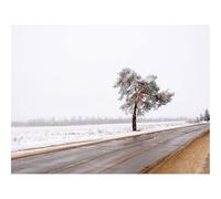 500 Piece Puzzle Classic Educational Games -Tree,Road,Lonely,Snow,Dirt 52x38cm