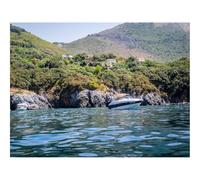 500 Piece Puzzle Classic Educational Games -Yacht,Bay,Sea,Trees,Mountains 52x38cm