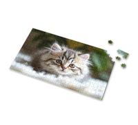 500 Piece Puzzles A Fluffy Kitten With Striking Eyes. Picture Puzzle Toddler Puzzles Puzzle Books For Adults(1000PCS)