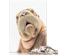 500 Piece Selfie Walrus Playful Animal Decor Jigsaw Puzzles for Adult Teenagers Puzzles Wooden Puzzles Family Fun Jigsaws Puzzles 500pcs (52x38cm)