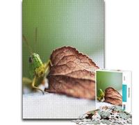 500 Piece Wooden Jigsaw Puzzle for Adults, Green Grasshopper on Leaf