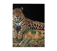500-Piece Wooden Jigsaw Puzzle in Plastic Box, African Wildlife Leopard on Rock Prints Eco-Friendly Educational Puzzle for Family Fun & Adult Relaxation, 38x52 CM