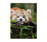 500-Piece Wooden Jigsaw Puzzle in Plastic Box, Little Red Panda Prints Eco-Friendly Educational Puzzle for Family Fun & Adult Relaxation, 38x52 CM