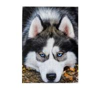 500-Piece Wooden Jigsaw Puzzle in Plastic Box, Stupid Husky Dog Prints Eco-Friendly Educational Puzzle for Family Fun & Adult Relaxation, 38x52 CM