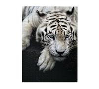 500-Piece Wooden Jigsaw Puzzle in Plastic Box, Tiger Lie On Rock Prints Eco-Friendly Educational Puzzle for Family Fun & Adult Relaxation, 38x52 CM