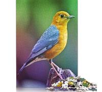 500 Pieces Hummingbird Drawn for Adults Difficult Jigsaw Puzzles Puzzles Wooden Puzzles Brain Teaser Puzzles For Adults 500pcs (52x38cm)