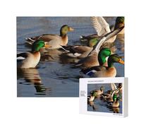 500 Pieces Jigsaw Puzzle with Storage Box, Mallard Ducks Printed Wooden Puzzle 52x38 CM for Adults Kids Family Fun Decorative Game